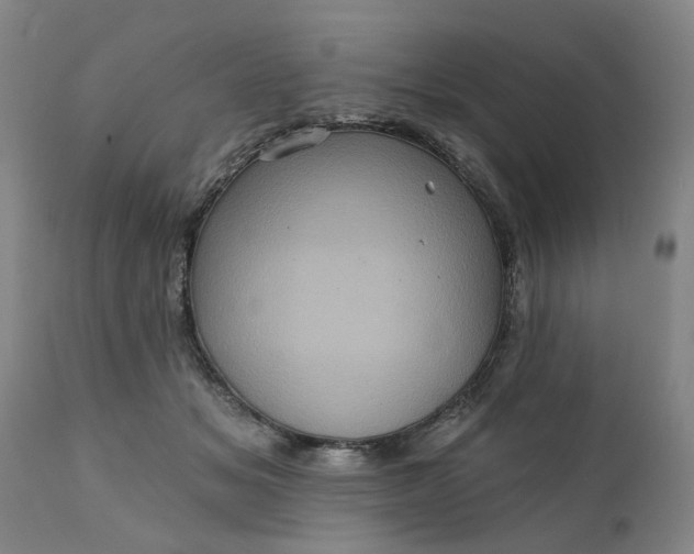 X0000111620509200907311206