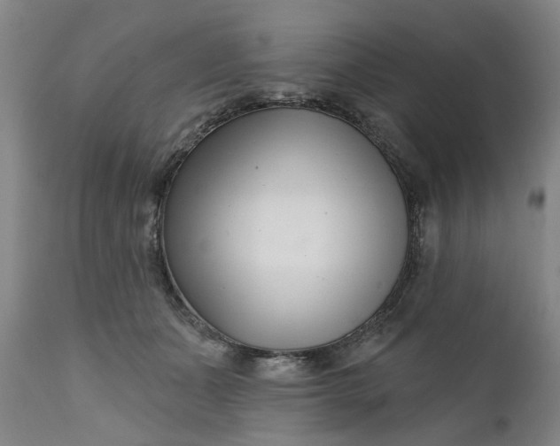 X0000111620511200907311206