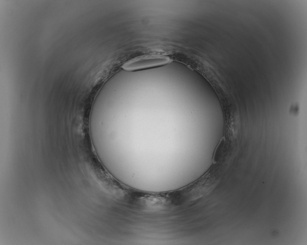 X0000111620512200907311206