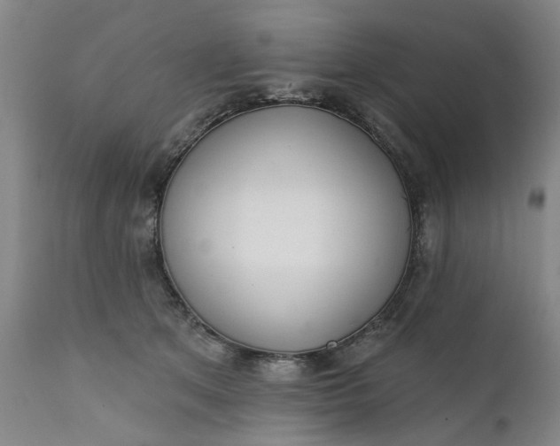 X0000111620513200907311206