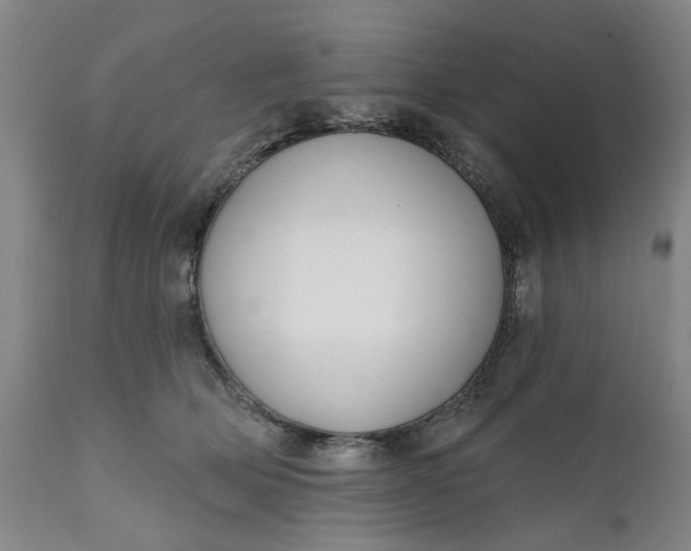 X0000111620514200907311206