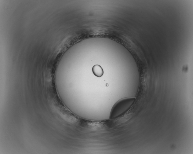 X0000111620516200907311206