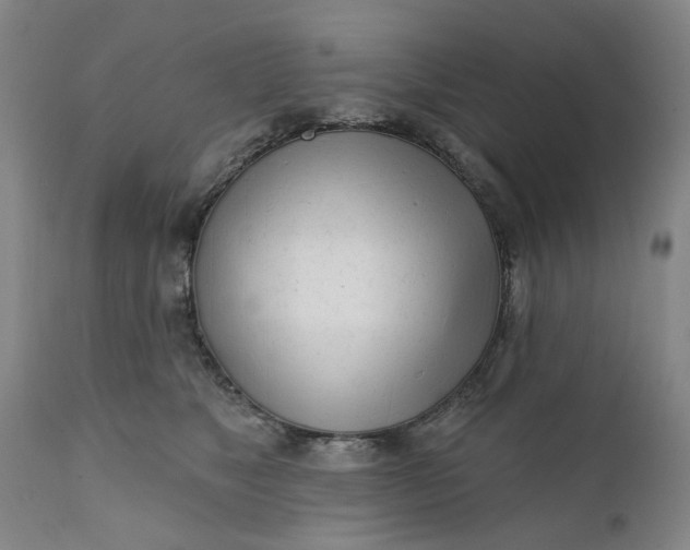 X0000111620517200907311206