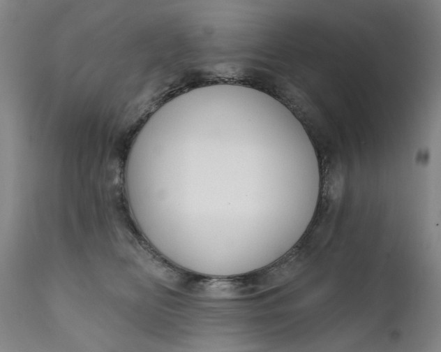 X0000111620518200907311206