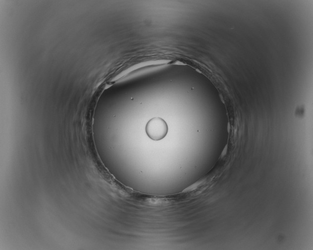 X0000111620520200907311206