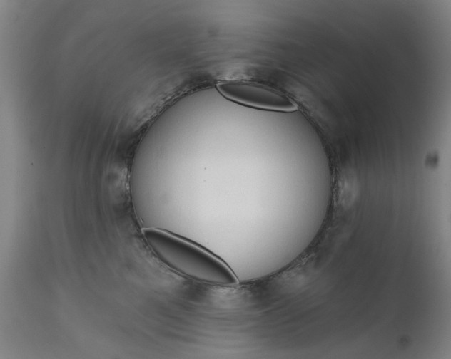 X0000111620521200907311206