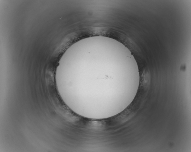 X0000111620522200907311206