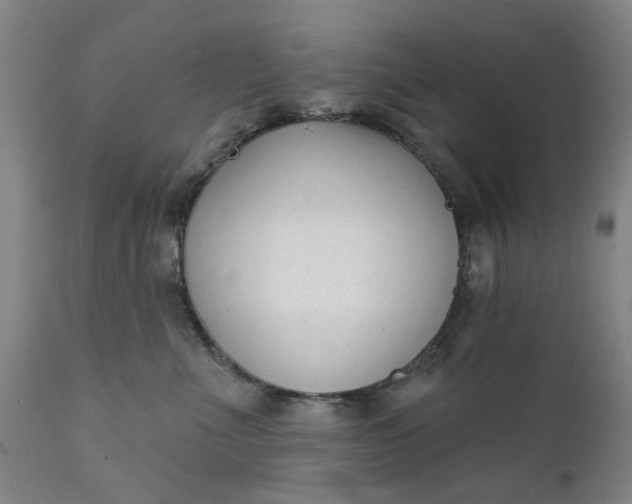 X0000111620523200907311206