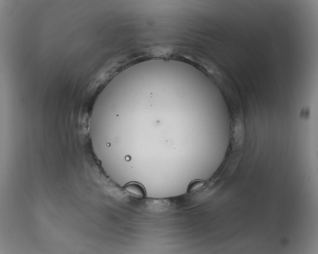 X0000111620525200907311206