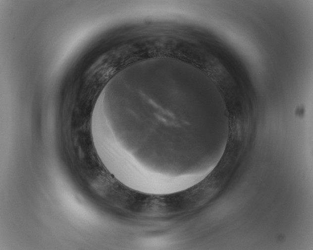 X0000111620526200907311206