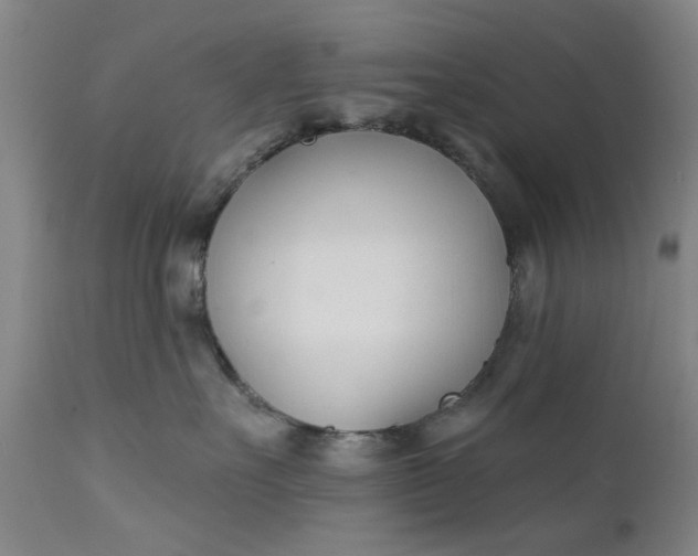 X0000111620527200907311206