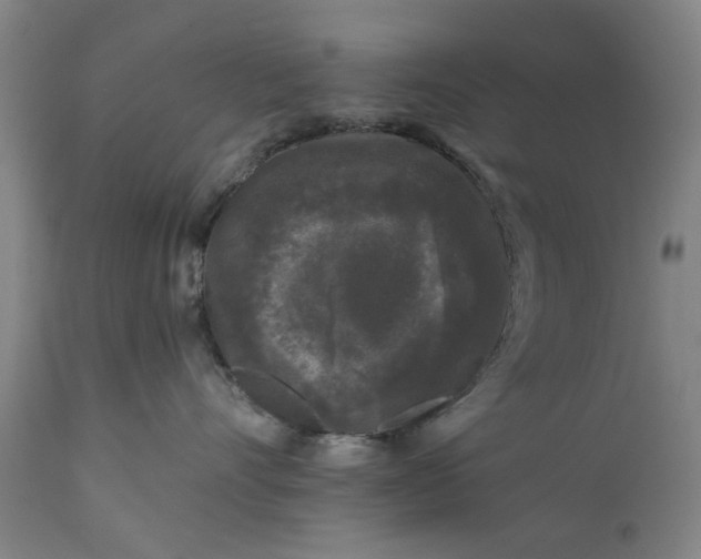 X0000111620528200907311206