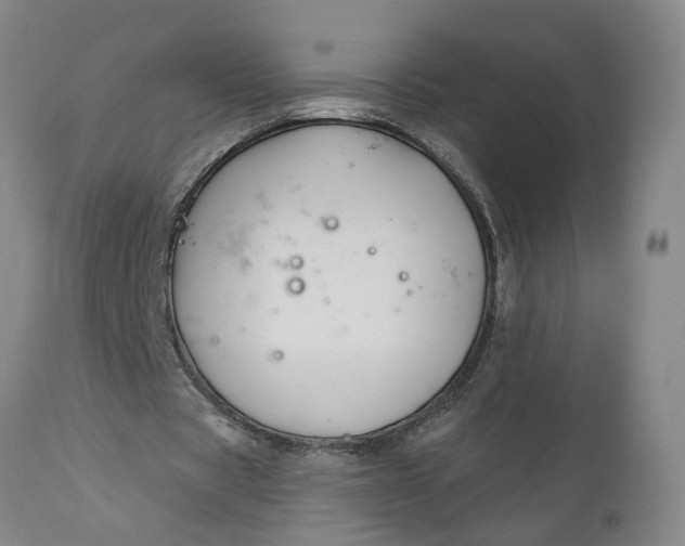 X0000111620529200907311205