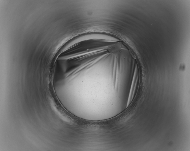 X0000111620530200907311205