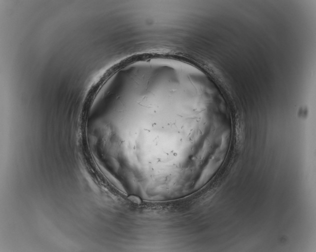 X0000111620532200907311205