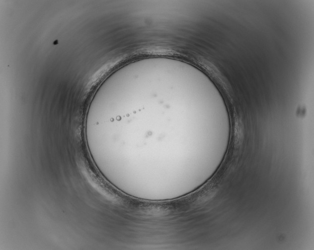 X0000111620533200907311205