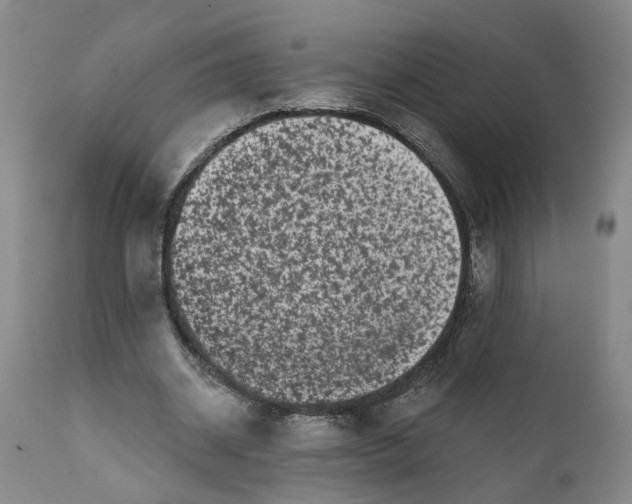 X0000111620534200907311205