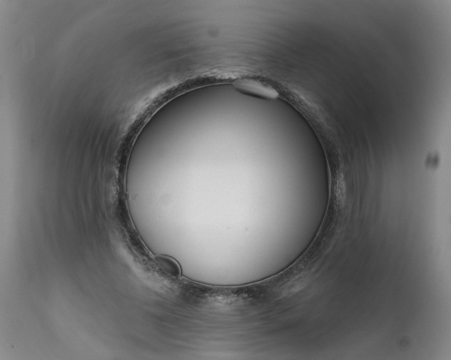 X0000111620540200907311205