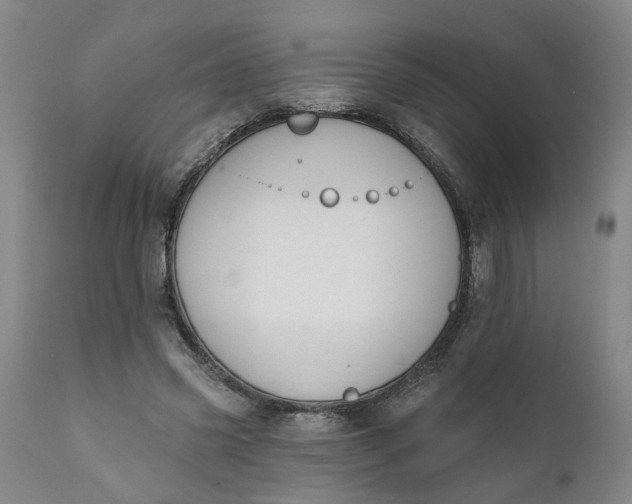 X0000111620541200907311205