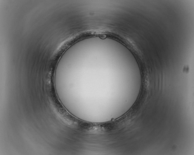 X0000111620543200907311205