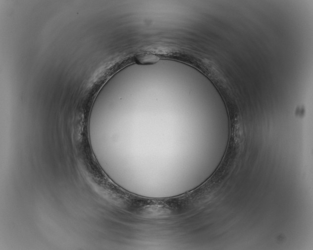 X0000111620544200907311205