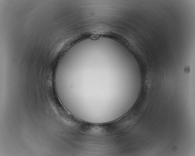 X0000111620547200907311205