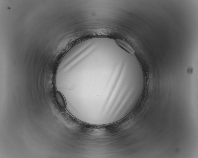 X0000111620548200907311205