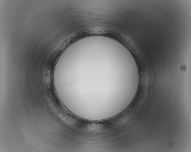 X0000111620549200907311205