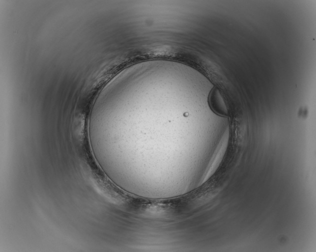 X0000111620550200907311205