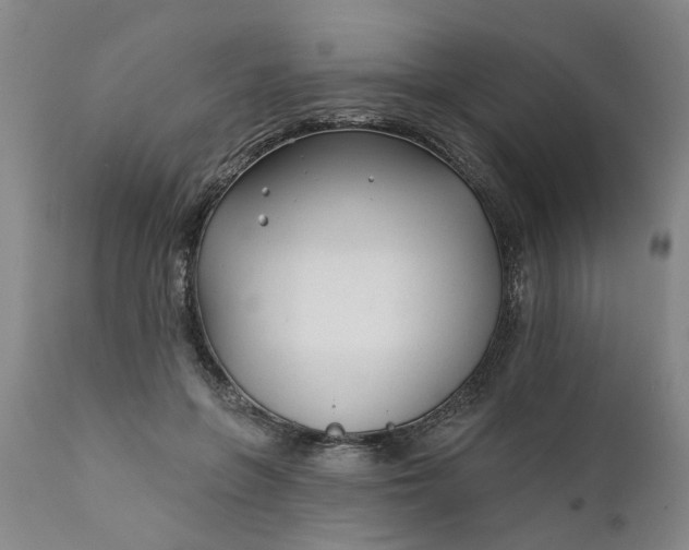 X0000111620551200907311205