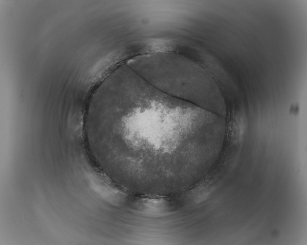 X0000111620552200907311205