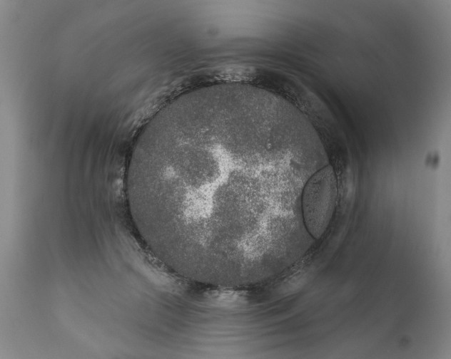 X0000111620553200907311205