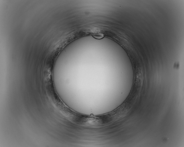 X0000111620555200907311205