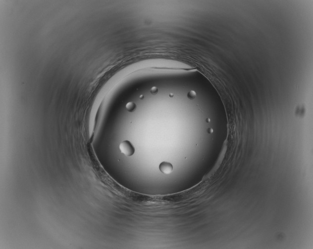 X0000111620556200907311205