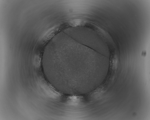 X0000111620558200907311205