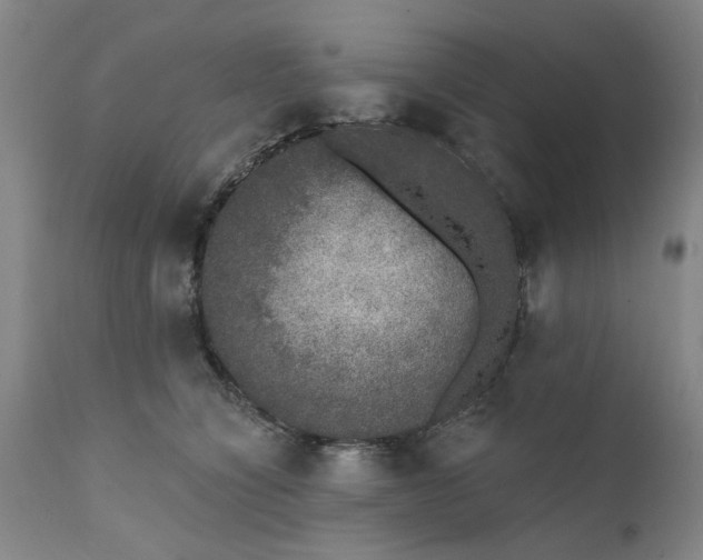 X0000111620564200907311206