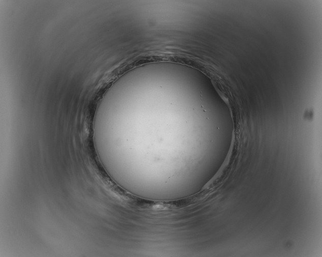 X0000111620566200907311206