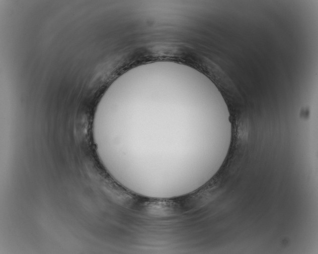 X0000111620567200907311206