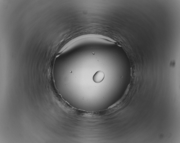 X0000111620568200907311206