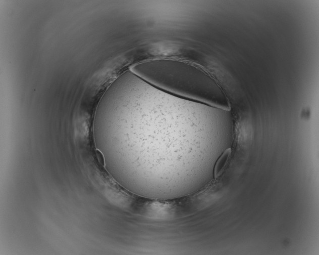 X0000111620570200907311206