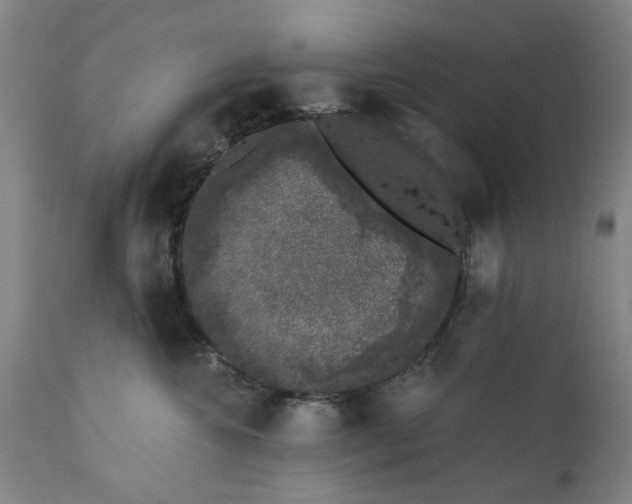 X0000111620572200907311206