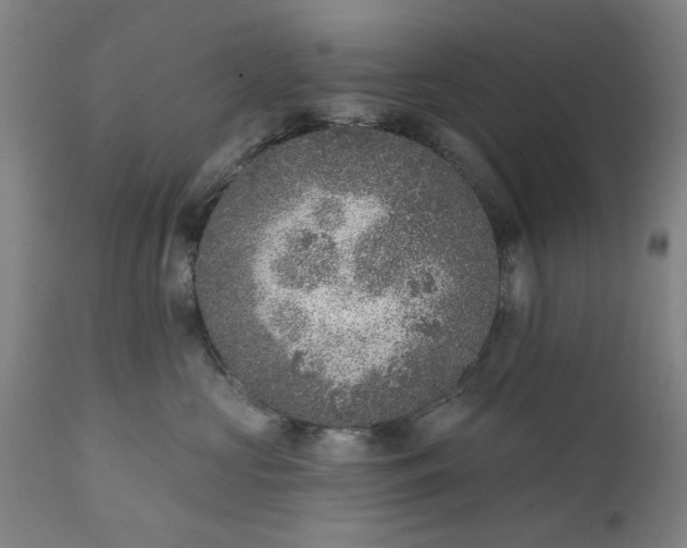 X0000111620573200907311206