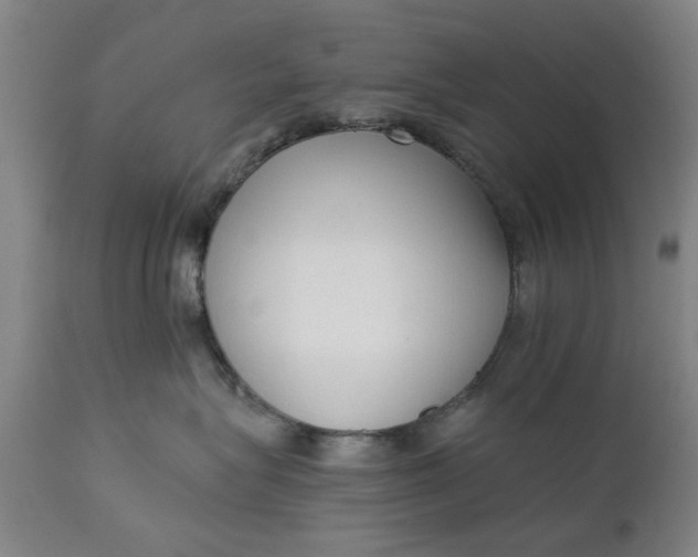 X0000111620575200907311206