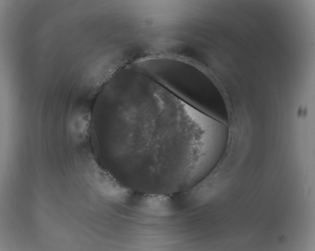 X0000111620576200907311206