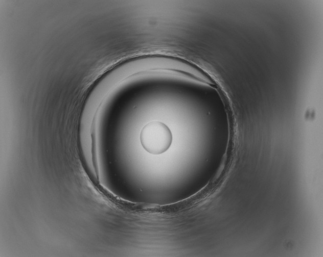 X0000111620577200907311205