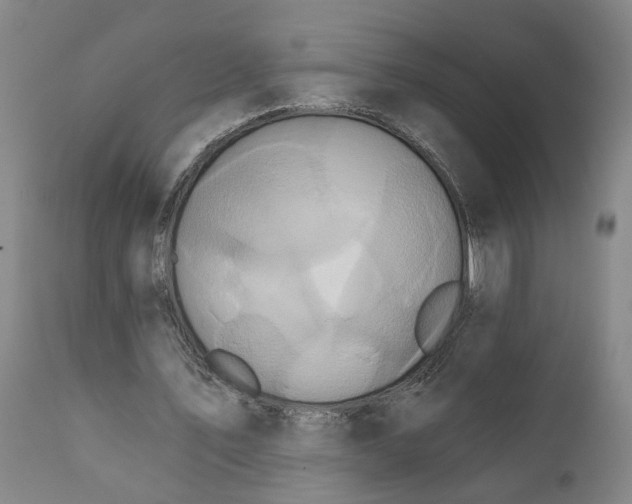 X0000111620579200907311205