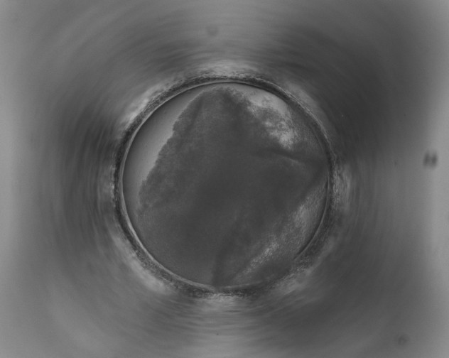 X0000111620581200907311205