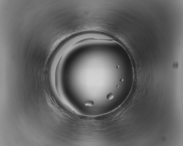 X0000111620583200907311205