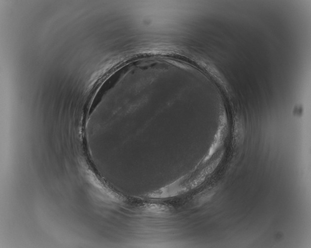 X0000111620585200907311205