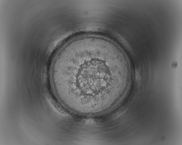 X0000111620588200907311205